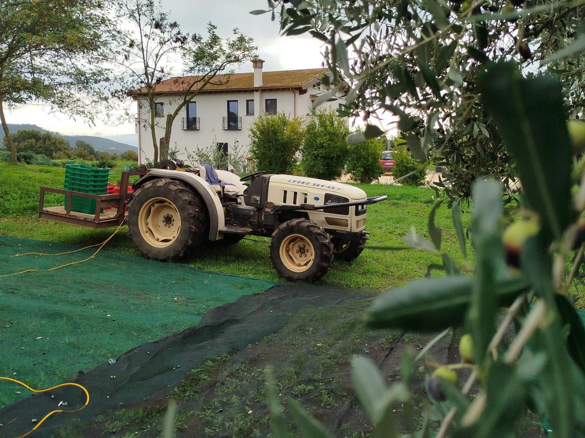 Agriturismo Casale Lisalola Sutri Exterior foto